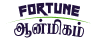 fortune-footer-logo 